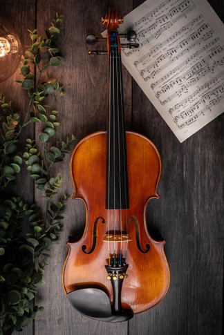 McNeela Virtuoso Violin