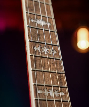 The Freedom 5 String Banjo (Bluegrass, 22 Fret) (s)