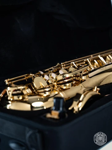 McNeela Premium Student Tenor Saxophone