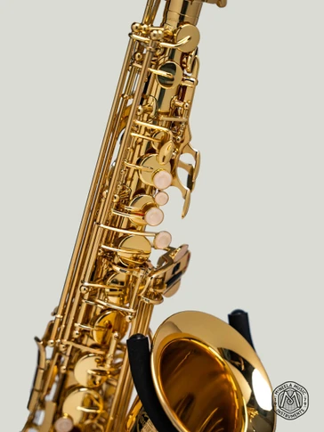 McNeela Premium Student Alto Saxophone - please note: stand is not included