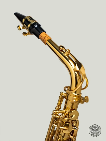 McNeela Premium Alto Saxophone Set (s)