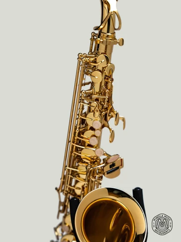 McNeela Premium Student Alto Saxophone - please note: stand is not included