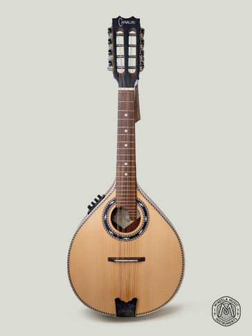 Antonio Carvalho Electro Acoustic Mandolin MDL308
