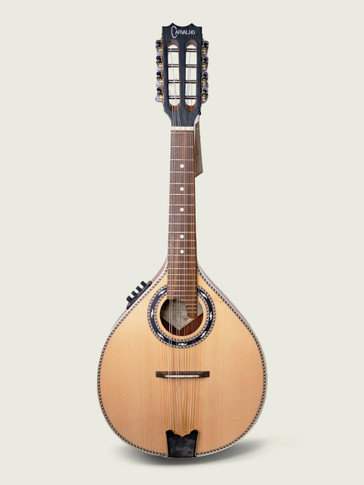 Antonio Carvalho Electro Acoustic Mandolin MDL308