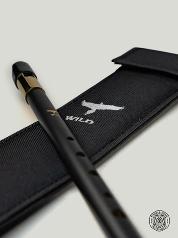 tin whistle