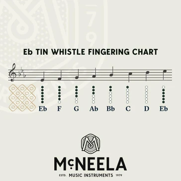 Wild Irish Whistle - Key of E Flat (s)