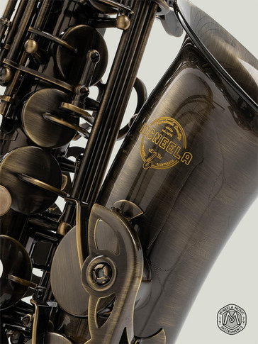 McNeela Antique Finish Premium Alto Saxophone Set