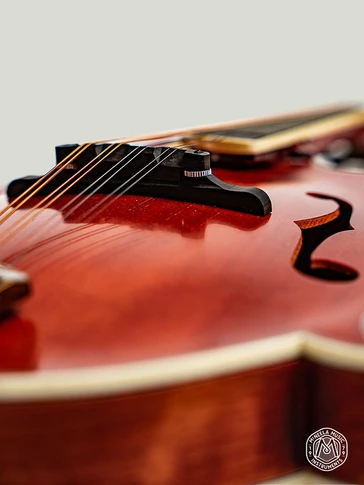 McNeela Premium Mahogany F-Style Mandolin
