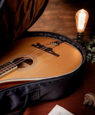 McNeela Premium Irische Bouzouki (s)