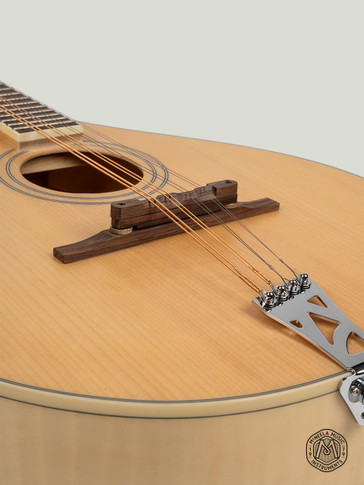 McNeela Electro Acoustic Irish Mandola