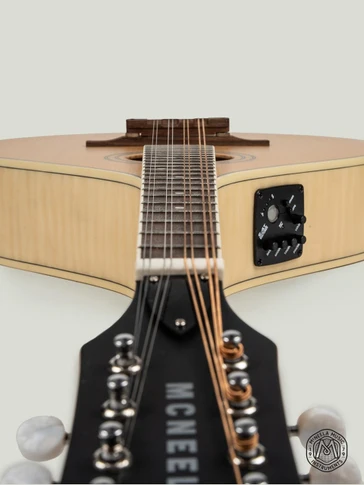 McNeela Electro Acoustic Mandola