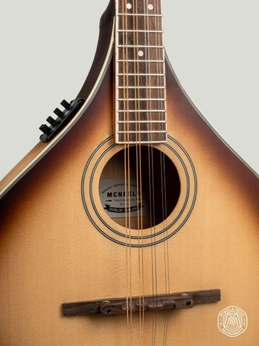 McNeela Electro Acoustic Irish Mandola (s)