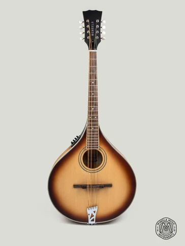 McNeela Electro Acoustic Irish Mandola (s)