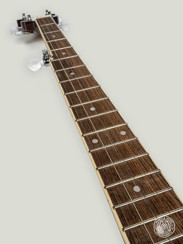 The Renegade 5-String Banjo