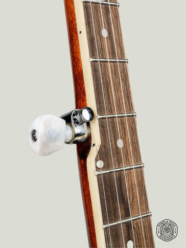 The Renegade 5-String Banjo