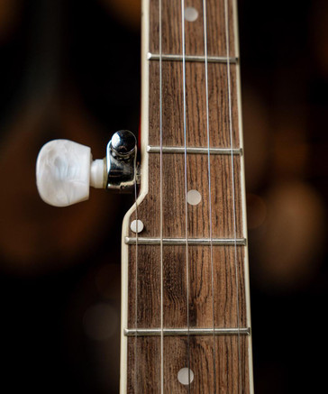 The Renegade 5-String Banjo (s)
