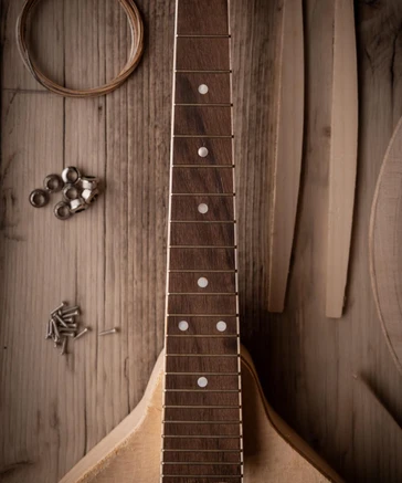 Build Your Own Mandolin