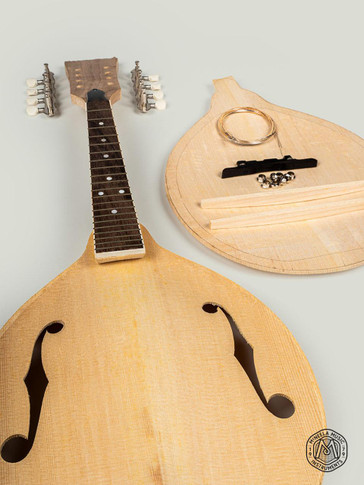Build Your Own Mandolin