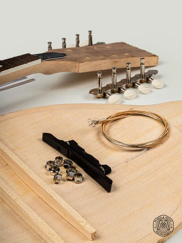 Build Your Own Mandolin