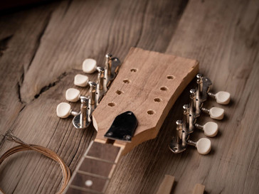 Build Your Own Mandolin