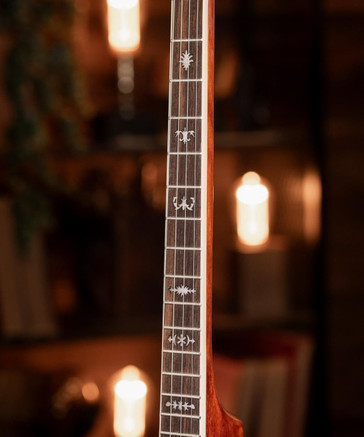 The Celt Banjo Set by McNeela (Tenor, 4 String, 19 Fret)