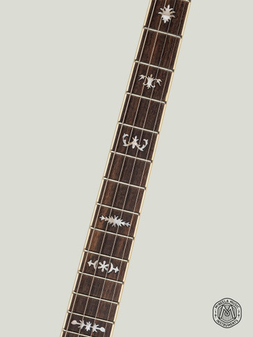 The Celt Banjo Set by McNeela (Tenor, 4 String, 19 Fret)