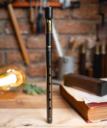 Wild Irish Tin Whistle in Key of Eb