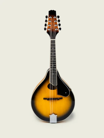 The McNeela Irish Mandolin (A-Style)