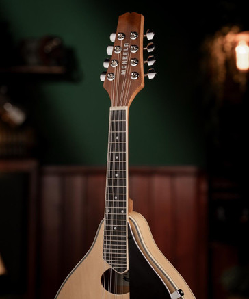 The McNeela Irish Mandolin (A-Style)