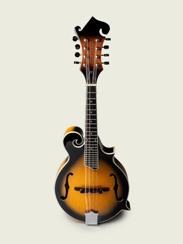 McNeela F-Style Mandolin