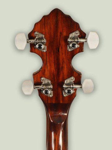 4 string banjo