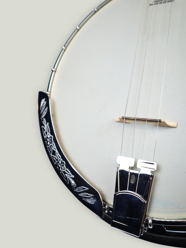 Tree of Life Tenor Banjo