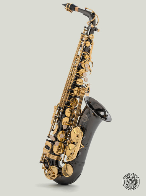 McNeela Beginner Alto Saxophone Set in Black Nickel