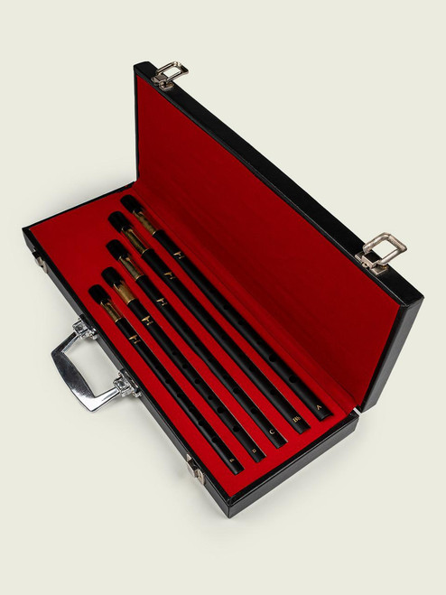 Full Set of Wild Irish Whistles in Hard Case