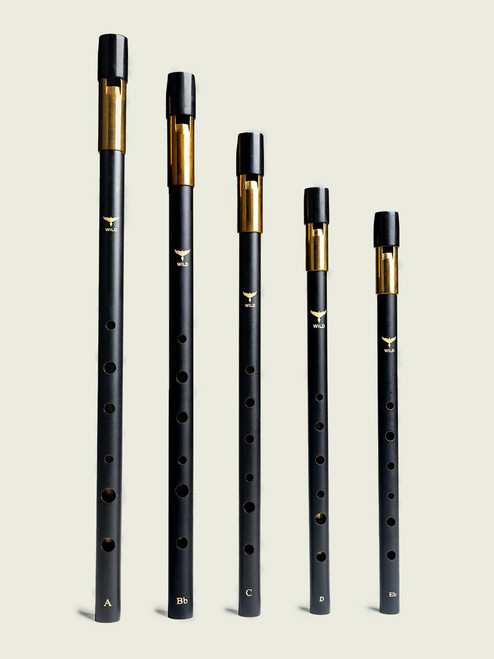 Wild Irish Whistles - Komplettset: D, C, A, Bb und Eb