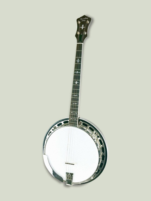 19 fret banjo