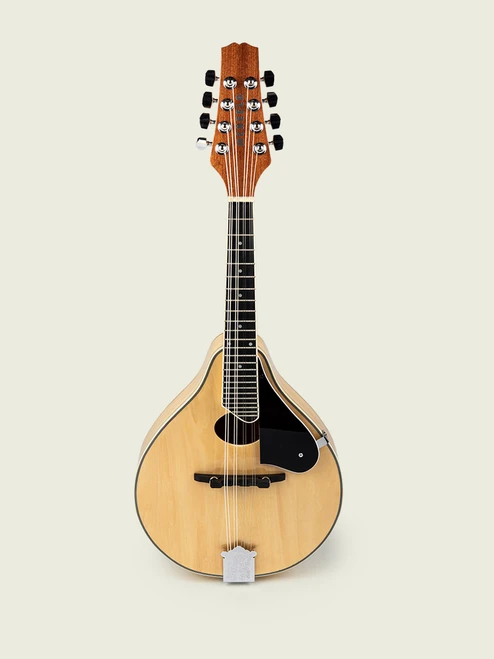 The McNeela Irish Mandolin (A-Style)