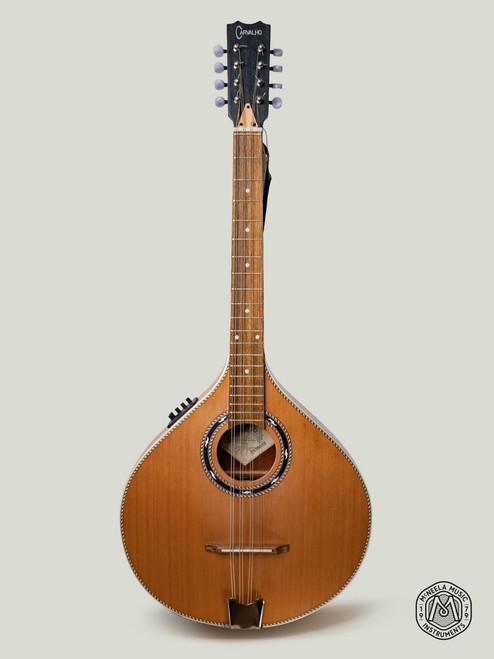 Antonio Carvalho Electro Acoustic Octave Mandolin MOC308