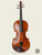 Vintage Violin, Violins