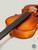 Hidersine Vivente Violin