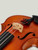 Hidersine Vivente Violin