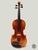 violin sales