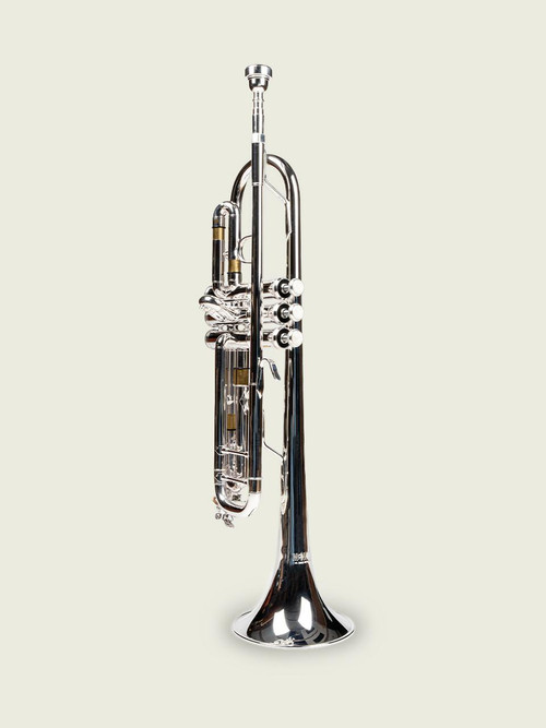 McNeela Premium Platinum Trumpet