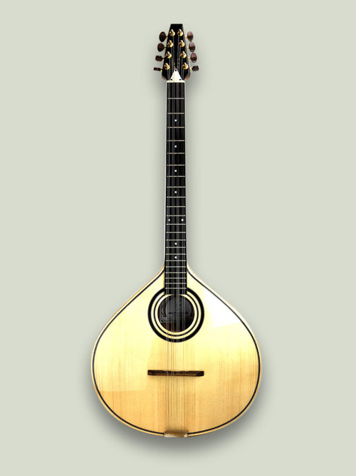 Antonio Carvalho Octive Mandola McNeela Music Concertinas Flutes