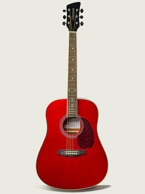 Brunswick Dreadnought AcousticGuitar