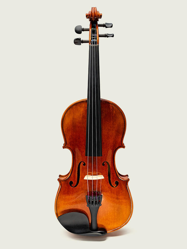 The McNeela Student Violin and Beginner Set - 4/4 Full Size Irish Fiddle with Carbon Fibre Bow