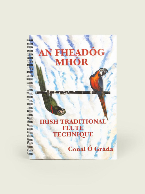 An Fheadóg Mhór ( Big Whistle) Irish Traditional Flute Technique