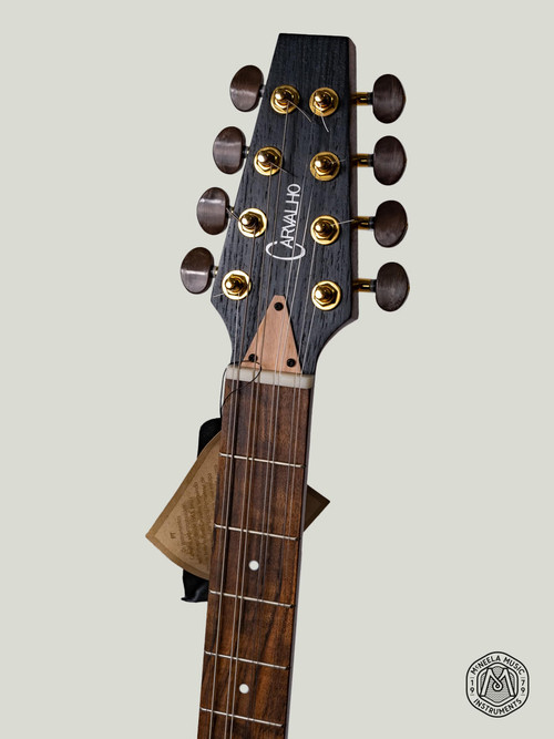 Antonio Carvalho Electro Acoustic Bouzouki PTB308
