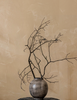 Stucco Marmorino