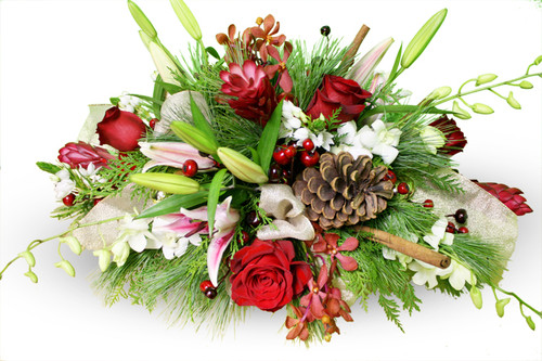 Home for the Holidays